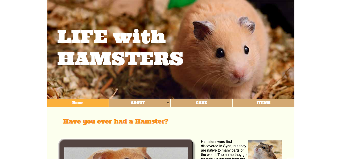 life with hamster